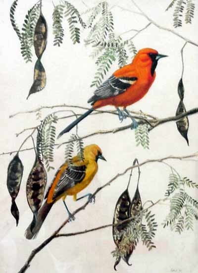20070114193130-calandria.jpg